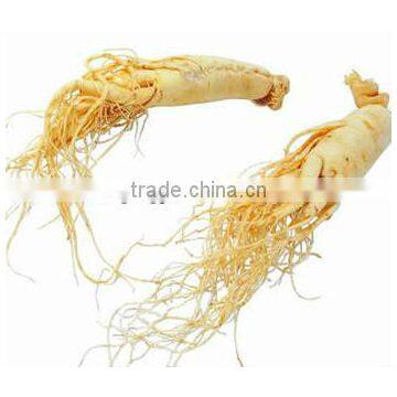 Oral Liquid Ginseng Extract