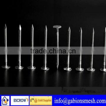 High quality,low price,common nails price,export to Asia,America,Europe