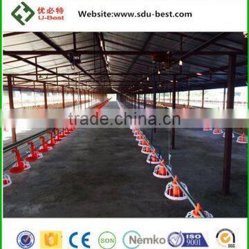 Factory price automatic modern chicken farm for poultry houses