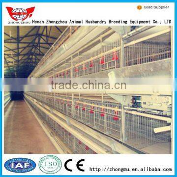 automatic chicken feeding system/automatic chicken breeding equipments