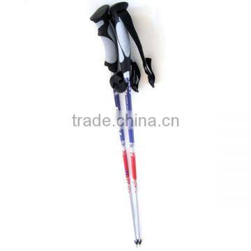 High Quality Ski Pole