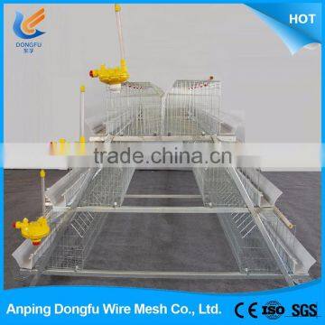 high quality live birds chicken cage