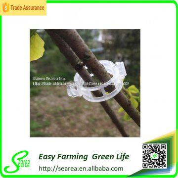 Tomato Grafting Clips photo-2