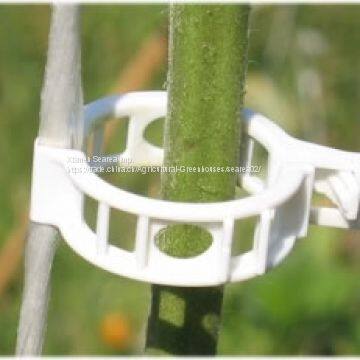 Holding Plant Clip/ Tomato Clips photo-3