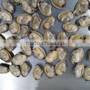 Japan Standard Whole Cooked Clam With Shell and Chemical Free photo-3