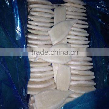 Pacific Squid Tube Frozen photo-6