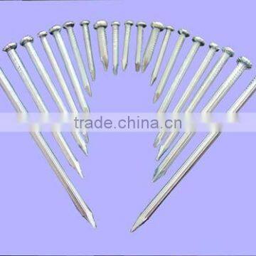 galvanized Concrete Nails