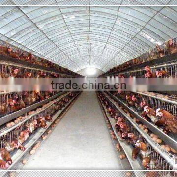 Easy Assembled Comericial Poultry Breeding Greenhouse photo-2