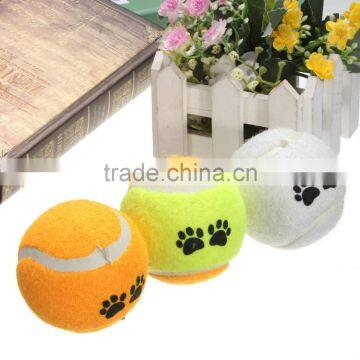 2016 New Top Selling Pet Cat Dog Play Training Tennis Ball Funny Chew Run Fetch Throw Beach Toys Pet Supplies photo-5