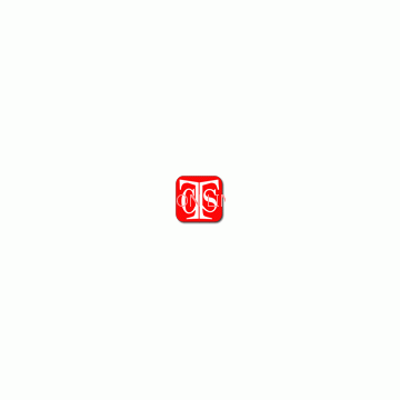 CTS SERVICE LIMITED