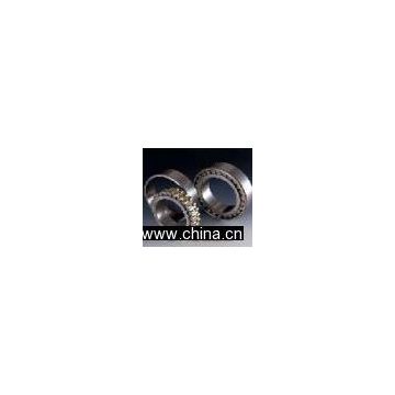 Double Row Cylindrical Roller Bearing