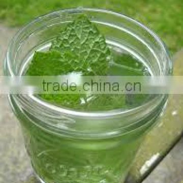 Premium Spearmint Tea for Bulk Orders