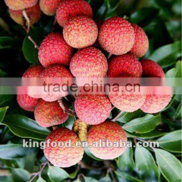 2012 new crop delicious frozen litchi