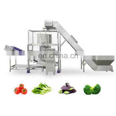 fruit and vegetable washing machine line industrial leaf vegetable washing equipment and drying machine