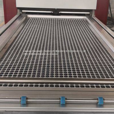 Otomatik Pim Sistemi Vakum Membran Pres Makinesi ZHT TM3000F-P photo-3