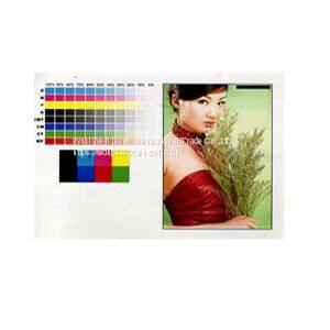White Inkjet Printable Plastic Sheet for id Cards