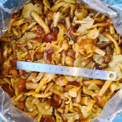 Nameko in Brine B Grade photo-2