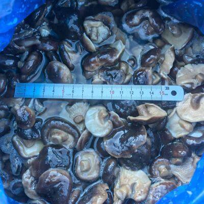 Shiitake in Brine, Brined Mushrooms, Edible Fungi, 50% Closed Caps photo-2