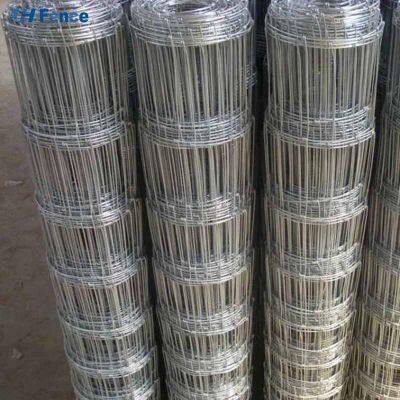 Günstige verzinkte Weidezaun 6 ft und 8 ft Höhe, umweltfreundliche Zäune für Rinder