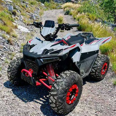 Beach buggy gasoline power and electric drive