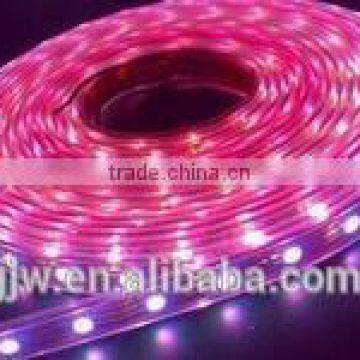 New High Quality LED Flexible Strip3528SMD IP65 60LED/MDC 12V LED Strip photo-6