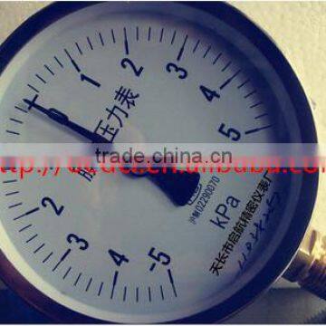 Capsule pressure gauge YE100