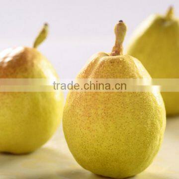 2016 Su Pear photo-4