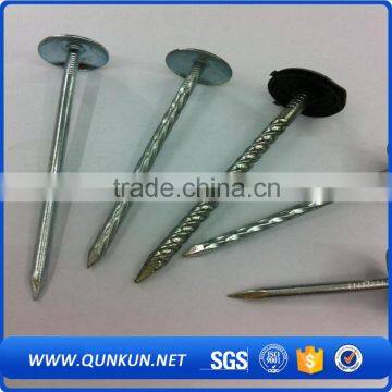 China Smooth Common Roofing Felt Nails photo-6