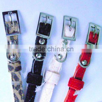 fashion pet collar