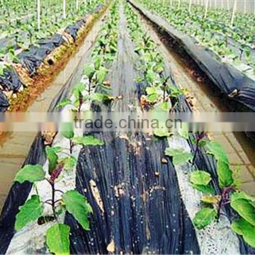 agricultural black plastic mulch film