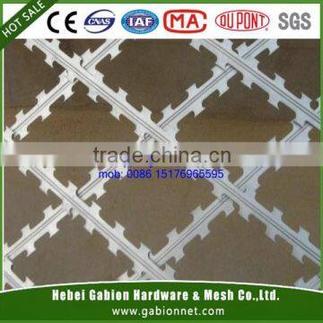 Wholesale Price Hot Galvanized Fencing Razor Wire