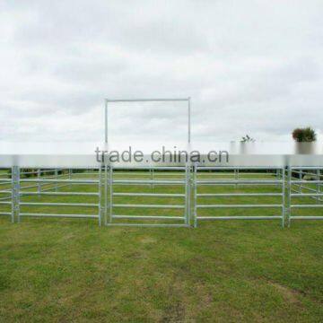 Cattle Gate