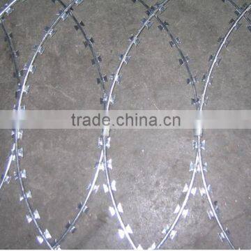 2015 High Quality Razor Barbed Wire(ISO9001) photo-3