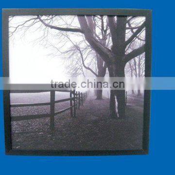 2014 new products countrysides canvas painting