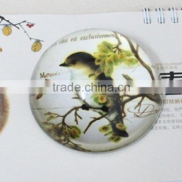 Fashionable k9 Semicircle crystal glass paperweight with bird & flower pictures