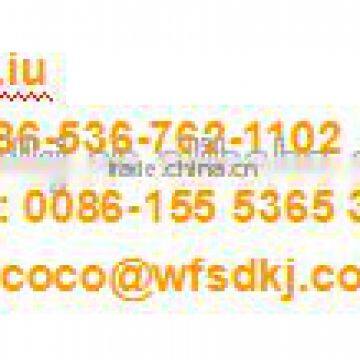 PET Liner Manufacturer for Convert in Electron Industry/Nippa Release Film photo-6