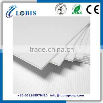 PP Material Corrugated Disposable Blue Sheet