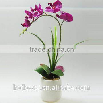 new arrival beauty silk flower moth orchid for wedding decoration