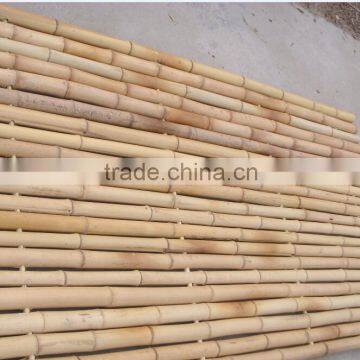 Natural Bamboo Cane border for flower support or vegetables