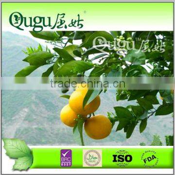 new season good taste fresh Navel Orange, fresh orange, China orange,