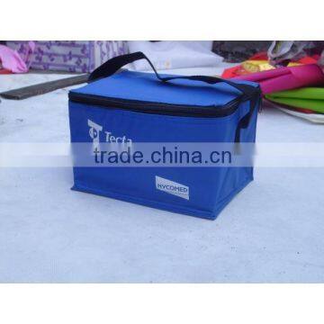 600D Insulated 12 can bottle cooler bag