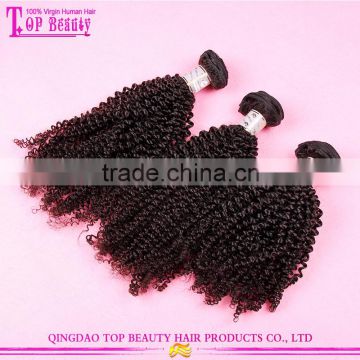 Grade 8A unprocessed virgin indian hair high quality indian remy hair weave wholesale indian hair weave