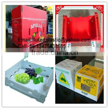 Foldable plastic fruit packaging box