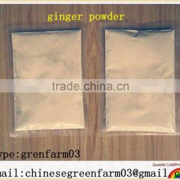 light yellow dried ginger powder