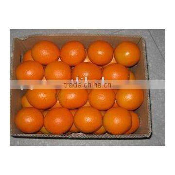 original Navel Orange