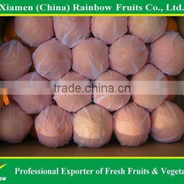 Chinese Navel Orange