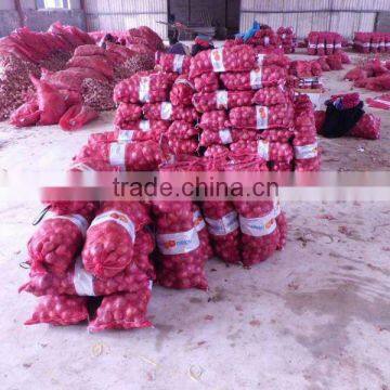 The exporters of fresh Onions