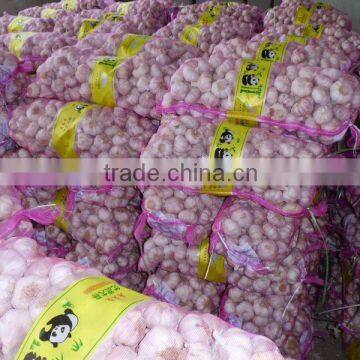 Fresh pure white garlic 6.0cm