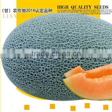 Cantaloupe seeds hybrid F1 muskmelon seeds hami melon seeds For planting-Ke Mi 17