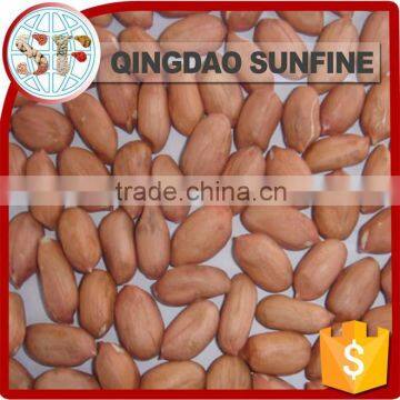 Import peanut kernel processing plant